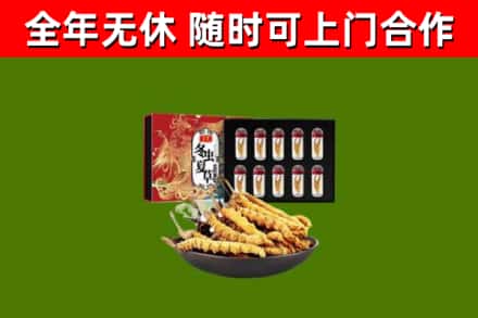 远安回收冬虫夏草价格